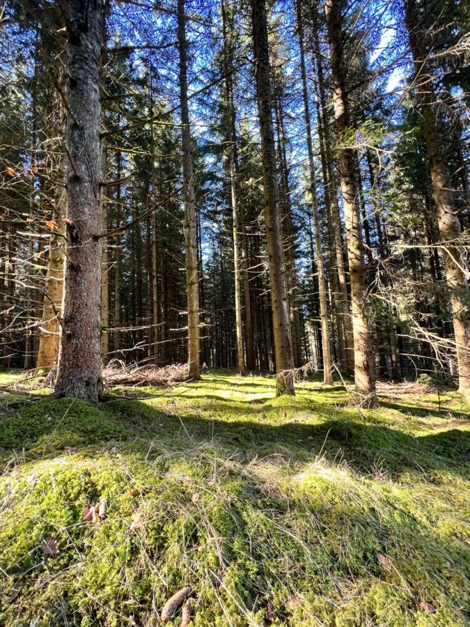 Вилла Haus Im Schwarzwald Ленцкирх Экстерьер фото