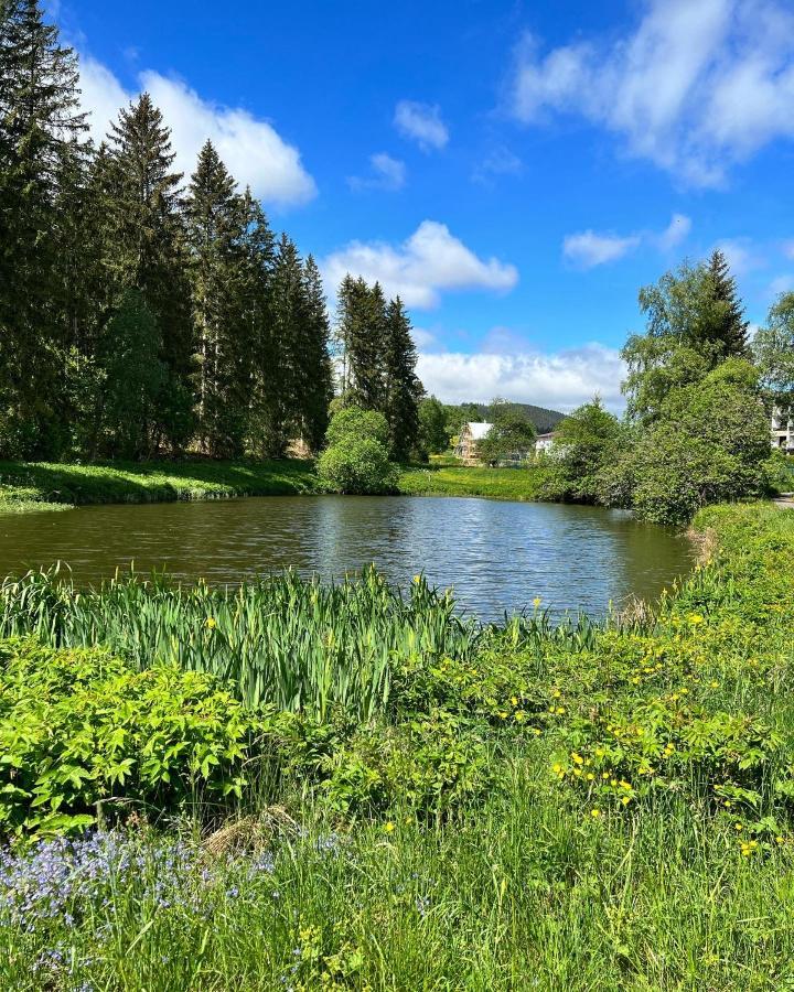 Вилла Haus Im Schwarzwald Ленцкирх Экстерьер фото